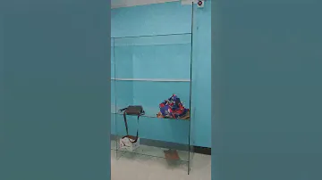 Toughened glass shelves with glass partition.