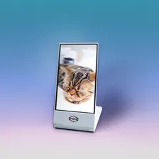 Looking Glass Go