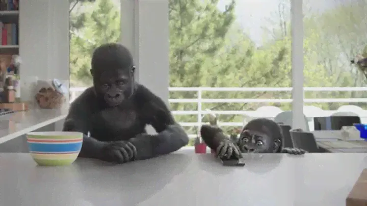 Corning® Gorilla® Glass 4: Counter Attack